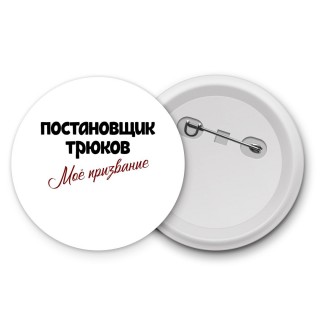 постановщик трюков моё призвание