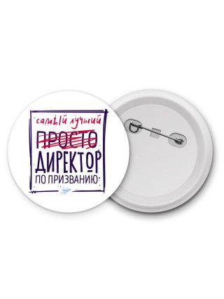Самый лучший просто ДИРЕКТОР по призванию