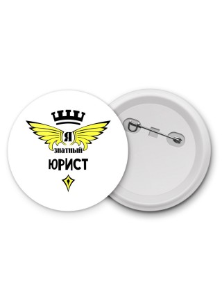 Я знатный юрист