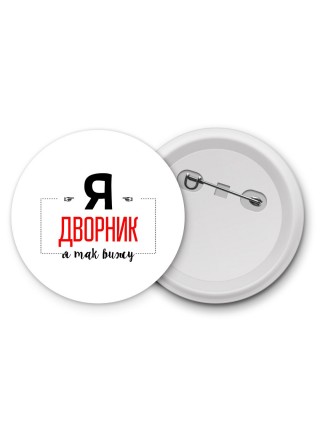 Я дворник я так вижу