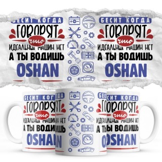 Бесит, когда говорят, что идеальных машин нет, а ты водишь Oshan