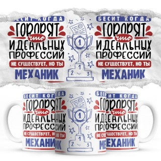 Бесит, когда говорят, что идеальных, но ты МЕХАНИК